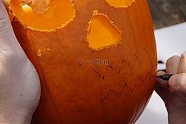 南瓜,萬圣節(jié),秋季