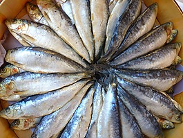 鱼,吃,食品