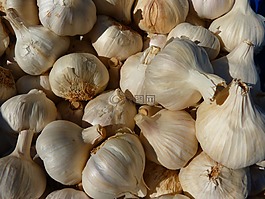 大蒜,香料,尖銳