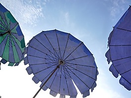 梧桐,海灘,晚間
