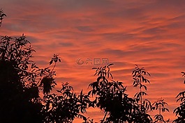 日出,云,黎明