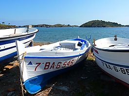 引導(dǎo),劃艇,海