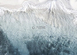 海洋,雄蜂,藝術