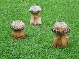 蘑菇,木,草地