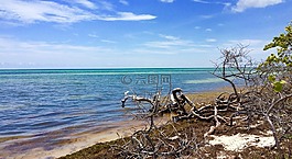 海洋,天空,分支機(jī)構(gòu)
