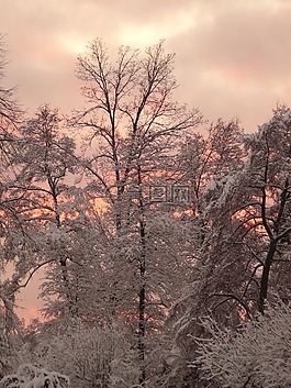 冬天,寒冬,雪