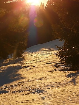 雪,冬天,寒冬