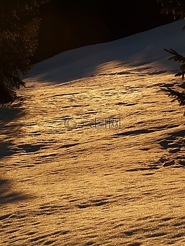 雪,冬天,寒冬