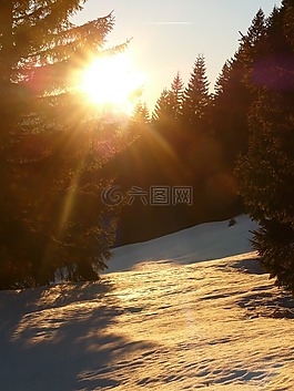 雪,冬天,寒冬