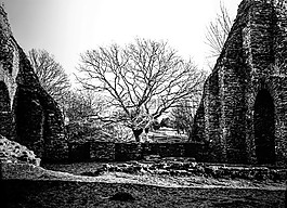 burgruine baldenau,ort摩擦產品有限公司在hunrück,中世紀