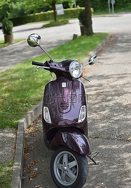 大黃蜂類,滾子,車輛