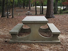 野餐桌,國家公園,公園