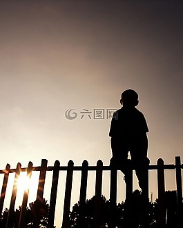 兒童,籬笆,男孩