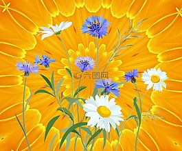 鮮花,雛菊,花的