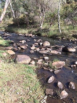 澳大利亞,河,荒野