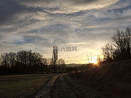 景觀云,樹,景觀