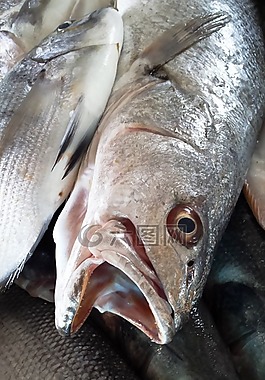新鮮,魚,死亡