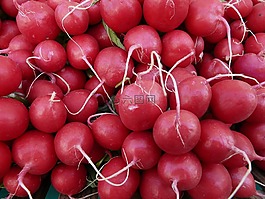 蘿卜,蔬菜,食品