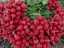 蘿卜,蔬菜,食品