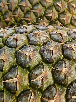 菠蘿,水果,甜