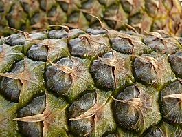 菠蘿,水果,甜