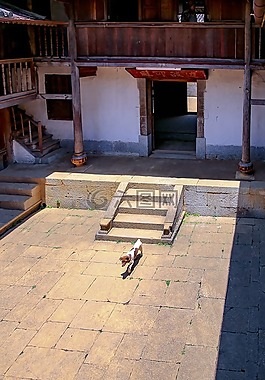 狗,門,庭院