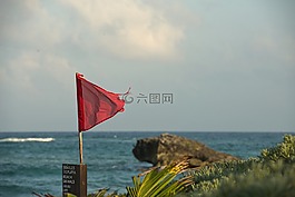 景觀,海灘,海