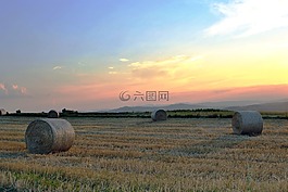 自然,農(nóng)場,農(nóng)業(yè)