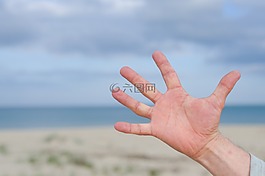 手,海,海灘