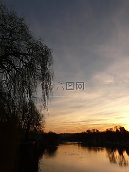 景觀,性質(zhì),樹