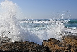 海岸,巖,沖浪