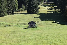 草地,山,景觀