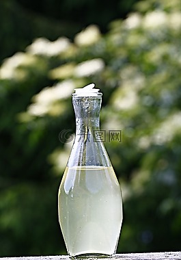 全,hollunder,hollundersaft