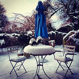 雪,冬天,表