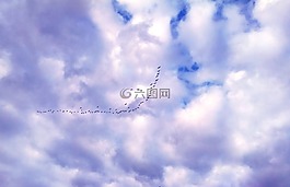 鵝,天空,云