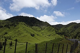 新西蘭,羊,山