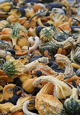 葫蘆,綠色,黃色