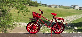 自行車,紅色,騎自行車