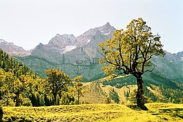 ahornboden,高山,山