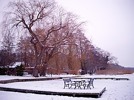 冬天,田園,雪