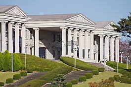 綠色,草坪,白