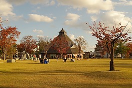 公園,日落,黃昏
