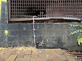 藝術(shù),街,轉(zhuǎn)義