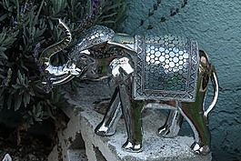 象,飾品,自然
