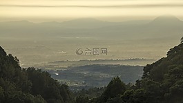自然,景觀,有霧