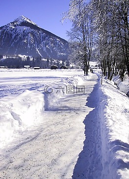 冬天,寒冬,雪