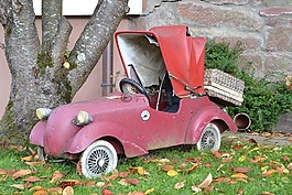 汽車,黑色的森林,法軍