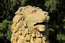 獅子,雕像,細(xì)節(jié)
