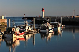 奧萊龍島,船釣,海