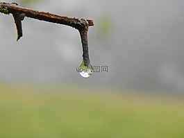 分支機(jī)構(gòu),拖放,霧